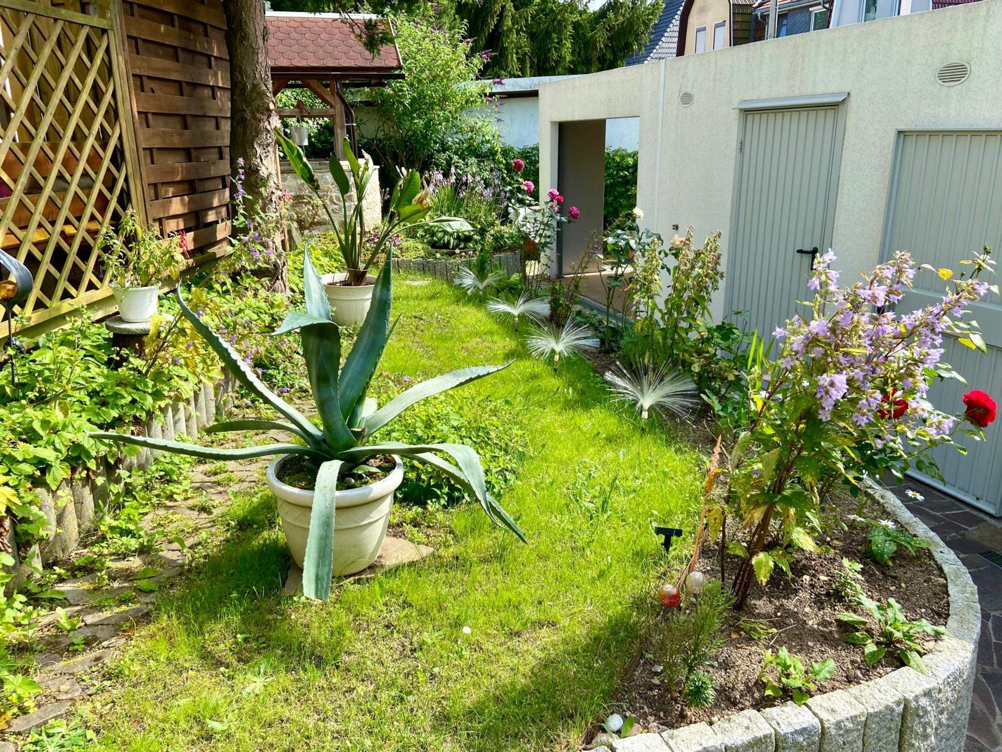 Apartamento Regenbergblick Zella-Mehlis Exterior foto